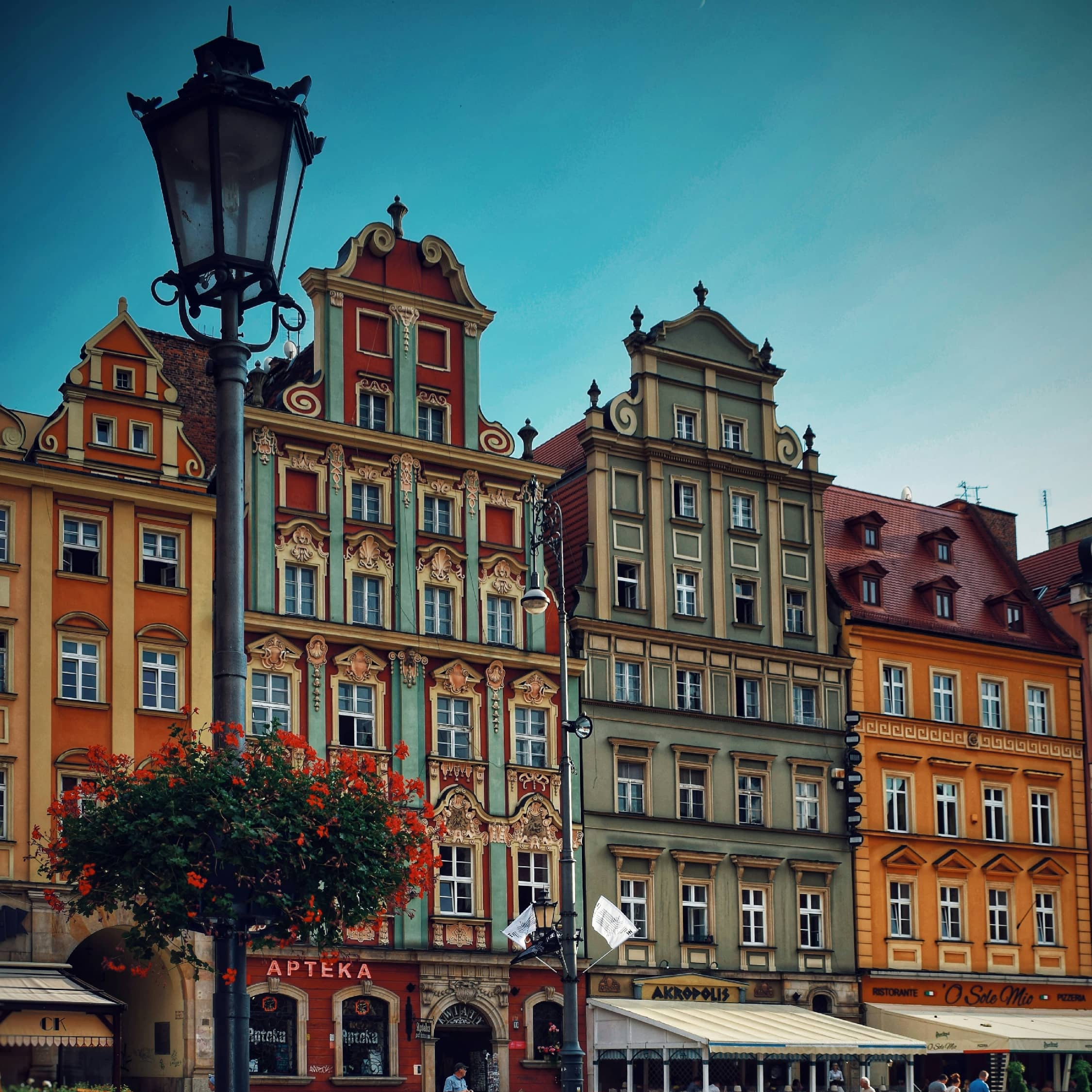 Polonia image