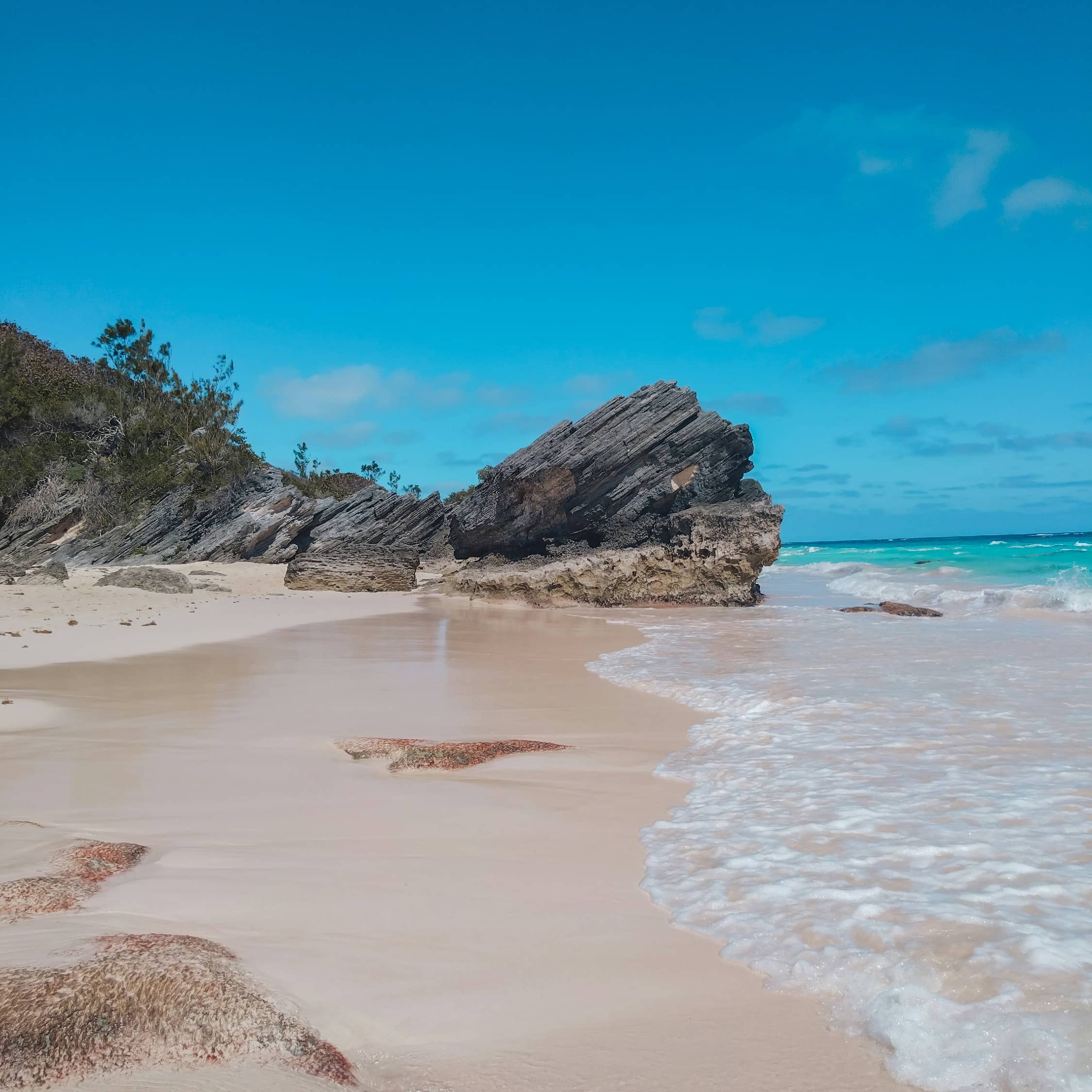 Bermuda image