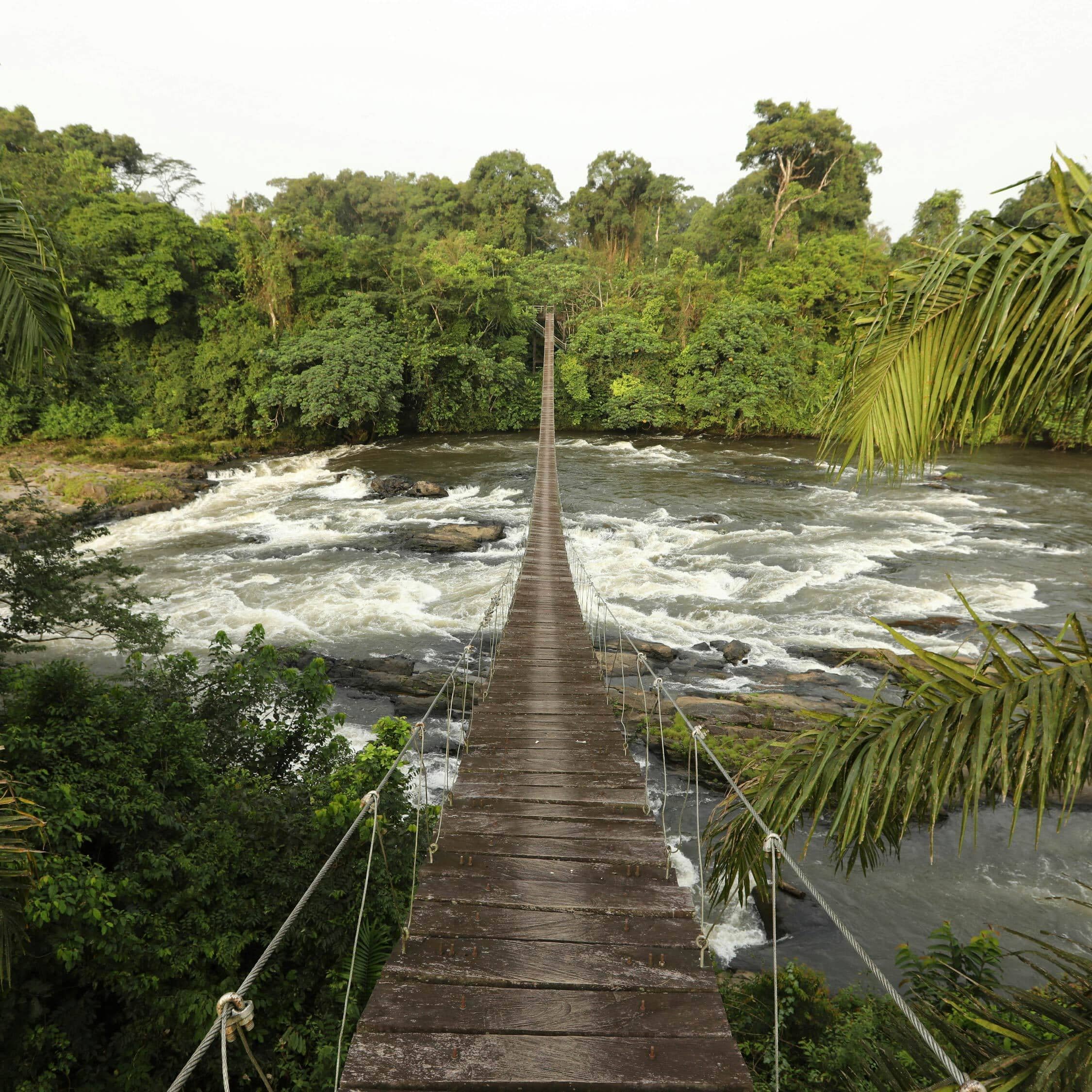 Congo image