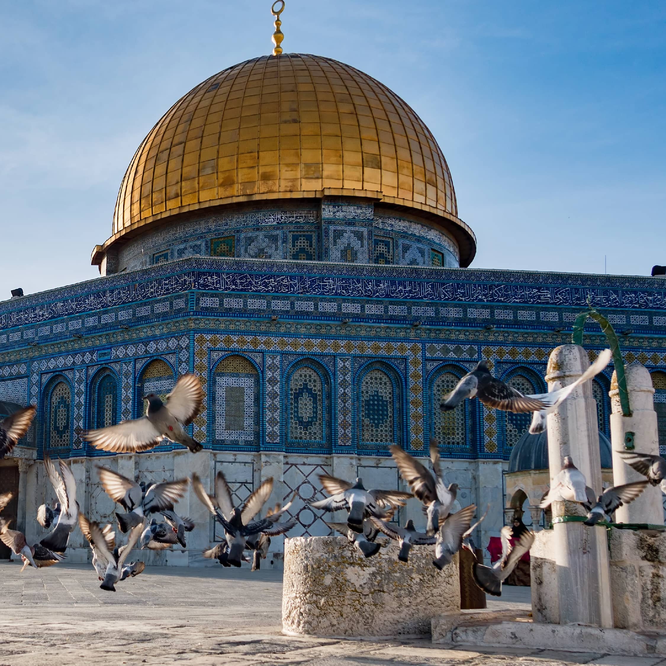 Palestina image